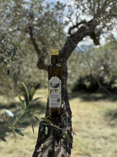 Huile d'olive vierge extra Picholine Bouteille 0.50L